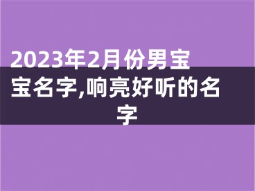 2023年2月份男宝宝名字,响亮好听的名字