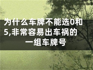 为什么车牌不能选0和5,非常容易出车祸的一组车牌号