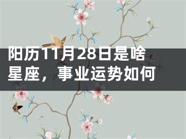 阳历11月28日是啥星座，事业运势如何 