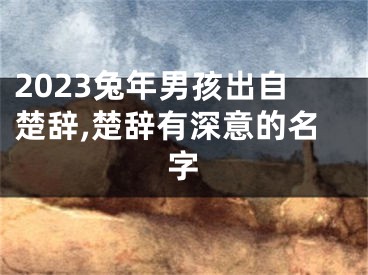 2023兔年男孩出自楚辞,楚辞有深意的名字