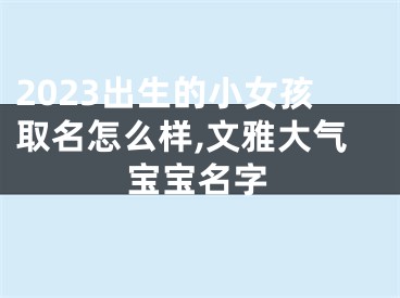 2023出生的小女孩取名怎么样,文雅大气宝宝名字