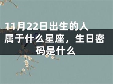 11月22日出生的人属于什么星座，生日密码是什么