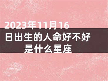 2023年11月16日出生的人命好不好 是什么星座 