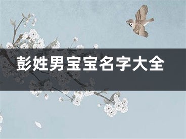 彭姓男宝宝名字大全