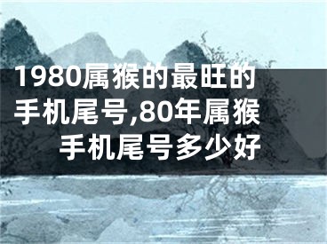 1980属猴的最旺的手机尾号,80年属猴手机尾号多少好