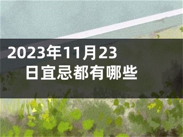 2023年11月23日宜忌都有哪些 