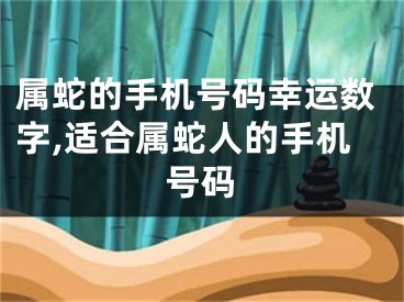 属蛇的手机号码幸运数字,适合属蛇人的手机号码