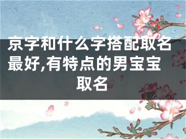 京字和什么字搭配取名最好,有特点的男宝宝取名