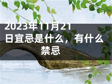 2023年11月21日宜忌是什么，有什么禁忌 