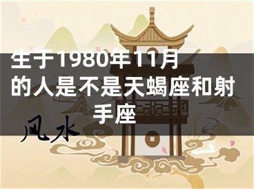 生于1980年11月的人是不是天蝎座和射手座 