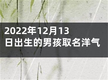 2022年12月13日出生的男孩取名洋气