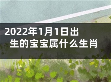 2022年1月1日出生的宝宝属什么生肖