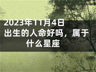 2023年11月4日出生的人命好吗，属于什么星座 