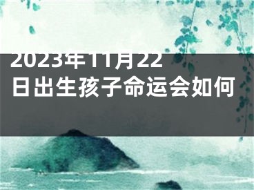 2023年11月22日出生孩子命运会如何 