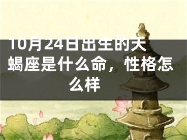 10月24日出生的天蝎座是什么命，性格怎么样 