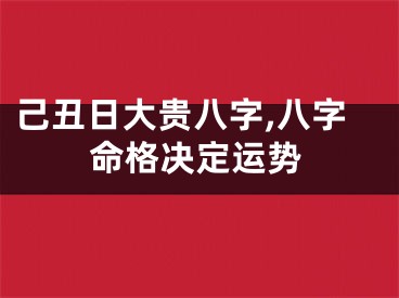 己丑日大贵八字,八字命格决定运势