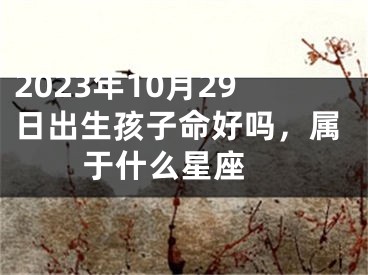 2023年10月29日出生孩子命好吗，属于什么星座 