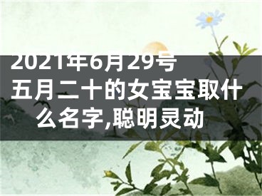 2021年6月29号五月二十的女宝宝取什么名字,聪明灵动