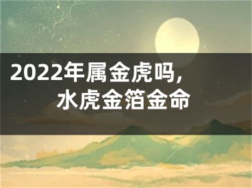 2022年属金虎吗,水虎金箔金命