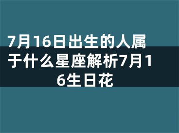 7月16日出生的人属于什么星座解析7月16生日花