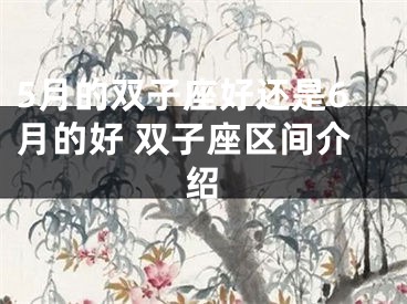 5月的双子座好还是6月的好 双子座区间介绍