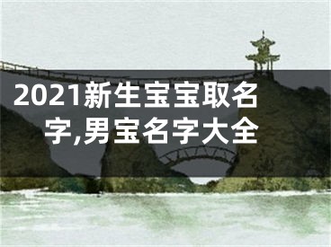 2021新生宝宝取名字,男宝名字大全