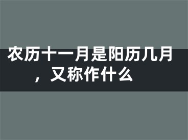 农历十一月是阳历几月，又称作什么 