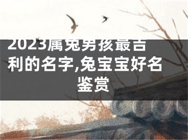 2023属兔男孩最吉利的名字,兔宝宝好名鉴赏