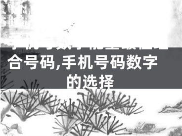 手机号数字能量最佳组合号码,手机号码数字的选择