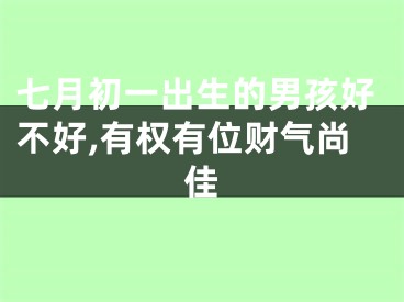 七月初一出生的男孩好不好,有权有位财气尚佳