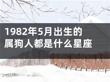 1982年5月出生的属狗人都是什么星座 