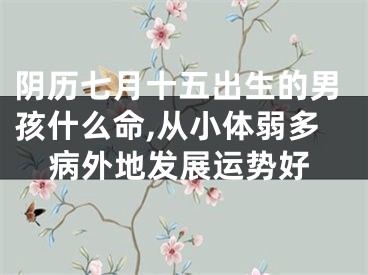 阴历七月十五出生的男孩什么命,从小体弱多病外地发展运势好