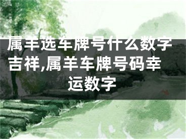 属羊选车牌号什么数字吉祥,属羊车牌号码幸运数字