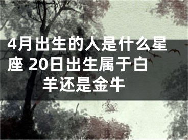 4月出生的人是什么星座 20日出生属于白羊还是金牛 