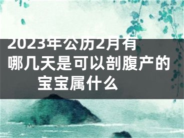 2023年公历2月有哪几天是可以剖腹产的 宝宝属什么 