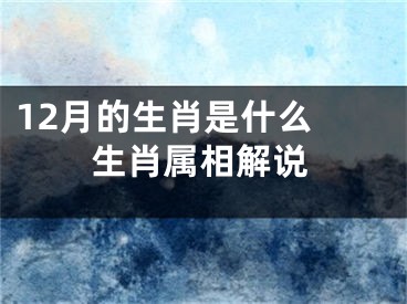 12月的生肖是什么 生肖属相解说