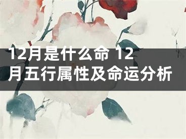 12月是什么命 12月五行属性及命运分析