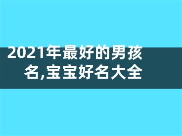 2021年最好的男孩名,宝宝好名大全