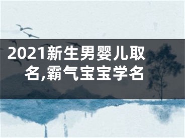 2021新生男婴儿取名,霸气宝宝学名