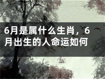 6月是属什么生肖，6月出生的人命运如何 