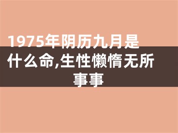 1975年阴历九月是什么命,生性懒惰无所事事