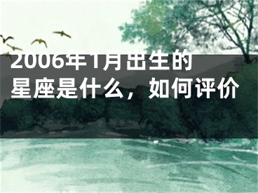 2006年1月出生的星座是什么，如何评价 