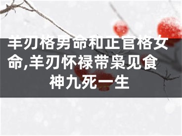 羊刃格男命和正官格女命,羊刃怀禄带枭见食神九死一生