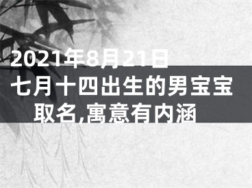 2021年8月21日七月十四出生的男宝宝取名,寓意有内涵