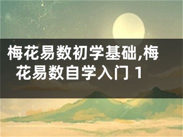 梅花易数初学基础,梅花易数自学入门 1