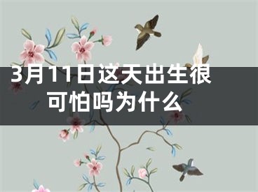 3月11日这天出生很可怕吗为什么 