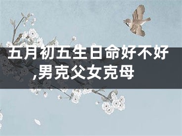 五月初五生日命好不好,男克父女克母