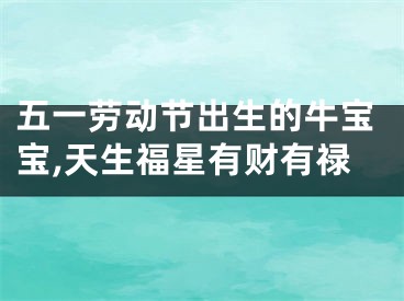 五一劳动节出生的牛宝宝,天生福星有财有禄