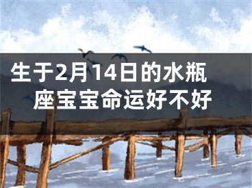 生于2月14日的水瓶座宝宝命运好不好