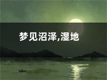 梦见沼泽,湿地